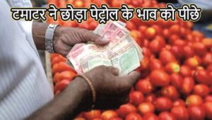 Today Tomato Price: टमाटर ने छोड़ा पेट्रोल के भाव को पीछे , जानिए किन – किन सहरों मे क्या है टमाटर का भाव