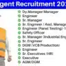 Urgent Recruitment 2024