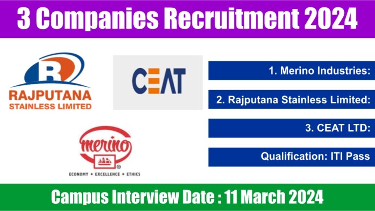 3 Companies Recruitment 2024