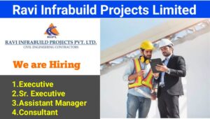 Ravi Infrabuild Projects Limited Vacancy: FICO Module (Support Team) at our Head Office in Udaipur