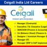 Ceigall India Ltd Careers