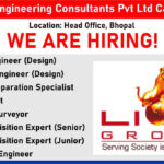 Lion Engineering Consultants Pvt Ltd Careers