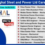 Singhal Steel and Power Ltd Careers