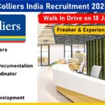 Colliers India Recruitment 2025