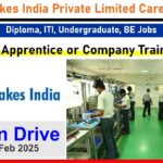 Brakes India Private Limited Careers