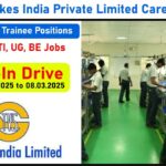 Brakes India Private Limited Careers